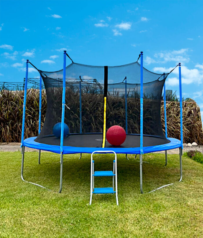 Paquete Mega Saltarina - Imagen 4